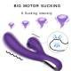 Vibratore con Succhia Clitoride - Viola